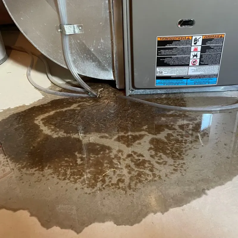 Pipe Burst and Leak Restoration in Hinsdale, NH